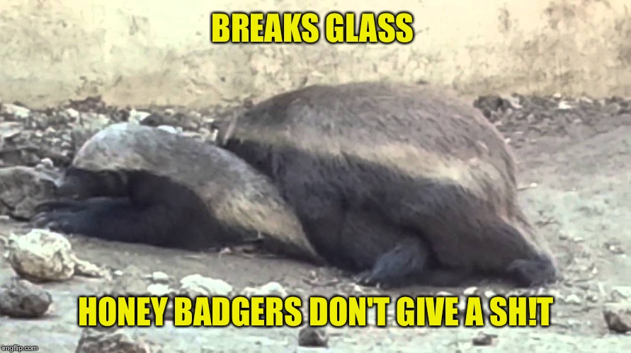BREAKS GLASS HONEY BADGERS DON'T GIVE A SH!T | made w/ Imgflip meme maker