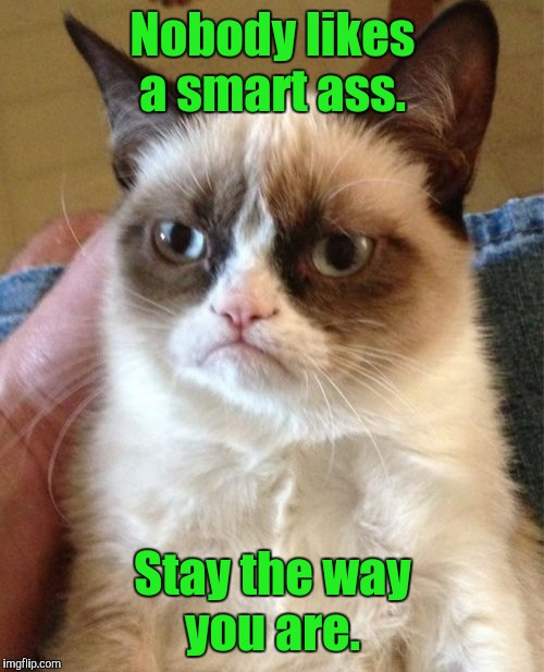 Grumpy Cat Meme | Nobody likes a smart ass. Stay the way you are. | image tagged in memes,grumpy cat | made w/ Imgflip meme maker