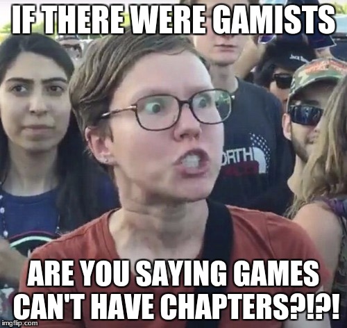 Triggered feminist | IF THERE WERE GAMISTS; ARE YOU SAYING GAMES CAN'T HAVE CHAPTERS?!?! | image tagged in triggered feminist | made w/ Imgflip meme maker