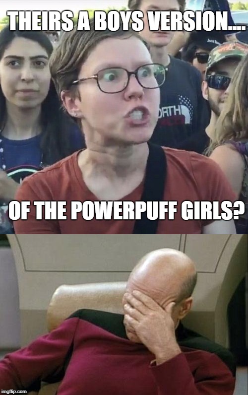 Feminists............... Smdh. | THEIRS A BOYS VERSION.... OF THE POWERPUFF GIRLS? | image tagged in triggered feminist,memes | made w/ Imgflip meme maker