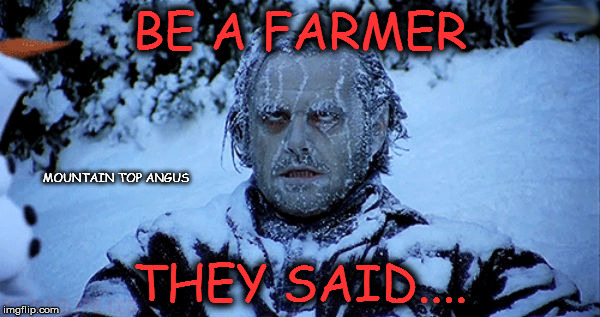 Freezing cold | BE A FARMER; MOUNTAIN TOP ANGUS; THEY SAID.... | image tagged in freezing cold | made w/ Imgflip meme maker