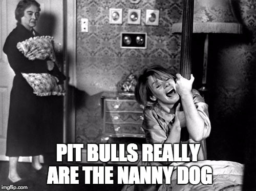 PIT BULLS REALLY ARE THE NANNY DOG | image tagged in pit bulls nanny | made w/ Imgflip meme maker