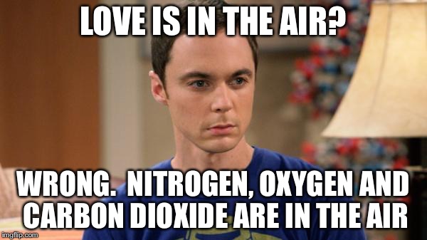Sheldon Logic | LOVE IS IN THE AIR? WRONG.
 NITROGEN, OXYGEN AND CARBON DIOXIDE ARE IN THE AIR | image tagged in sheldon logic | made w/ Imgflip meme maker