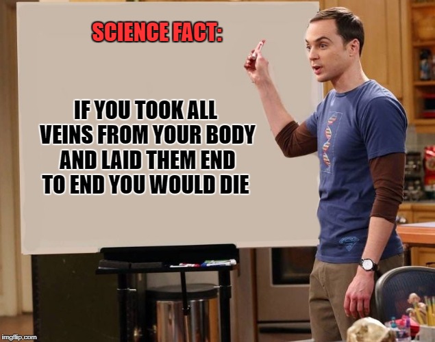 sheldon | SCIENCE FACT:; IF YOU TOOK ALL VEINS FROM YOUR BODY AND LAID THEM END TO END YOU WOULD DIE | image tagged in sheldon | made w/ Imgflip meme maker