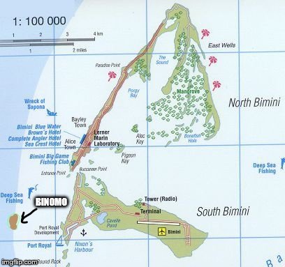 Oh my God, I think I Just found nikki haley's Lost (Doesn't Exist) Island Nation of BINOMO! | BINOMO | image tagged in binomo,nikki haley,clueless,dumb and dumber,dumb people,dumb ass | made w/ Imgflip meme maker
