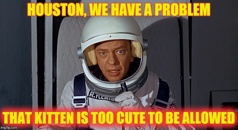 Don Knotts, Houston we have a problem,,, | HOUSTON, WE HAVE A PROBLEM THAT KITTEN IS TOO CUTE TO BE ALLOWED | image tagged in don knotts houston we have a problem   | made w/ Imgflip meme maker