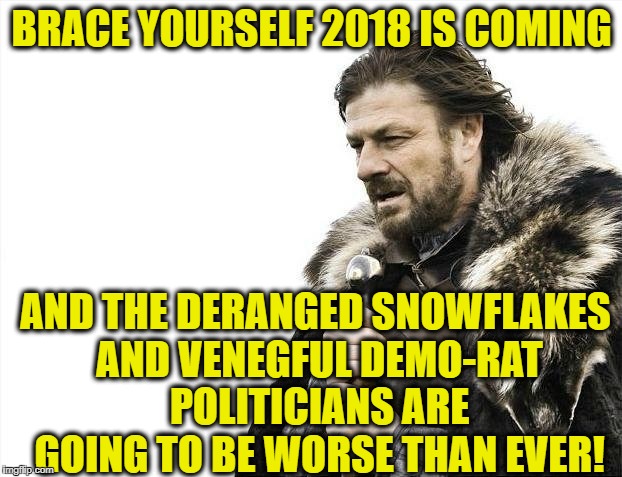 Brace Yourselves X is Coming Meme | BRACE YOURSELF 2018 IS COMING AND THE DERANGED SNOWFLAKES AND VENEGFUL DEMO-RAT POLITICIANS ARE GOING TO BE WORSE THAN EVER! | image tagged in memes,brace yourselves x is coming | made w/ Imgflip meme maker