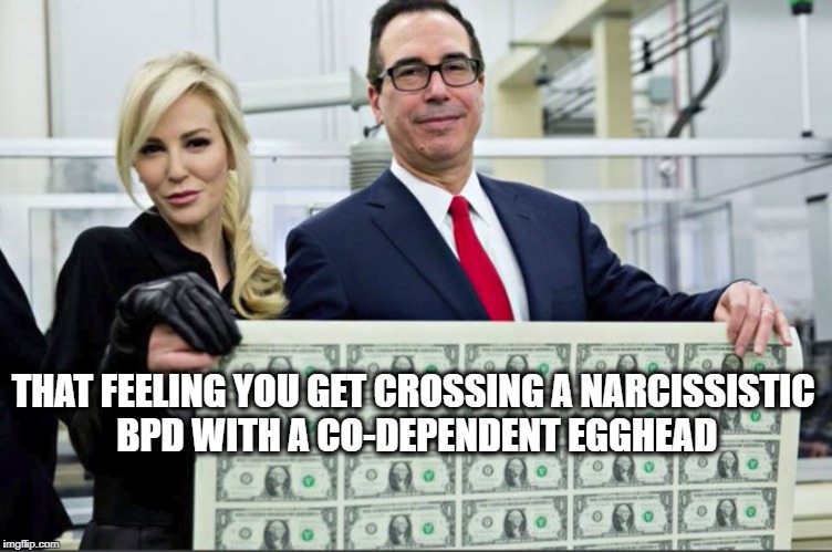 Mnuchin Money | THAT FEELING YOU GET CROSSING A NARCISSISTIC BPD WITH A CO-DEPENDENT EGGHEAD | image tagged in mnuchin money | made w/ Imgflip meme maker