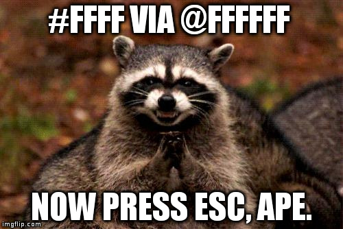 Evil Plotting Raccoon Meme | #FFFF VIA @FFFFFF; NOW PRESS ESC, APE. | image tagged in memes,evil plotting raccoon | made w/ Imgflip meme maker