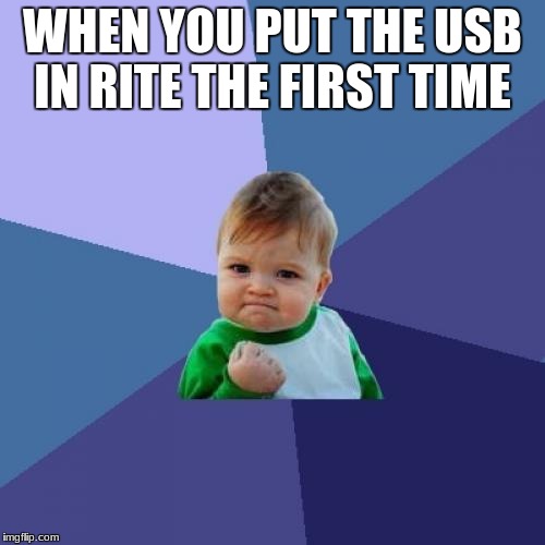 Success Kid Meme | WHEN YOU PUT THE USB IN RITE THE FIRST TIME | image tagged in memes,success kid | made w/ Imgflip meme maker