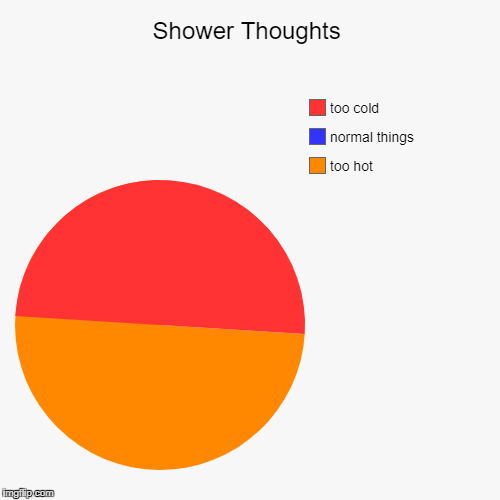 What EVERYONE thinks. | image tagged in funny,pie charts,omg too hot,omg too cold,showers | made w/ Imgflip chart maker