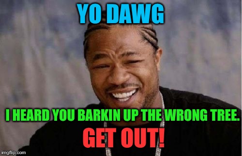 Yo Dawg Heard You | YO DAWG; I HEARD YOU BARKIN UP THE WRONG TREE. GET OUT! | image tagged in memes,yo dawg heard you | made w/ Imgflip meme maker