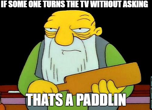 That's a paddlin' Meme | IF SOME ONE TURNS THE TV WITHOUT ASKING; THATS A PADDLIN | image tagged in memes,that's a paddlin' | made w/ Imgflip meme maker