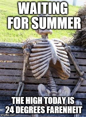 Waiting Skeleton Meme | WAITING FOR SUMMER THE HIGH TODAY IS 24 DEGREES FARENHEIT | image tagged in memes,waiting skeleton | made w/ Imgflip meme maker