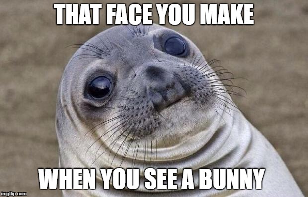 Awkward Moment Sealion | THAT FACE YOU MAKE; WHEN YOU SEE A BUNNY | image tagged in memes,awkward moment sealion | made w/ Imgflip meme maker