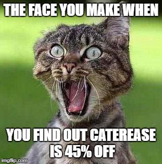 Shocked Cat | THE FACE YOU MAKE WHEN; YOU FIND OUT CATEREASE IS 45% OFF | image tagged in shocked cat | made w/ Imgflip meme maker