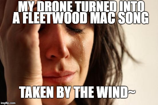 My Drone Rhiannnnnnnnnaaaaaaaaa~ | A FLEETWOOD MAC SONG; MY DRONE TURNED INTO; TAKEN BY THE WIND~ | image tagged in memes,first world problems,drone lost,the lost drones,finding sargaent drone,the drone ranger | made w/ Imgflip meme maker
