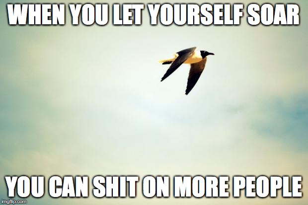Birds | WHEN YOU LET YOURSELF SOAR; YOU CAN SHIT ON MORE PEOPLE | image tagged in birds | made w/ Imgflip meme maker