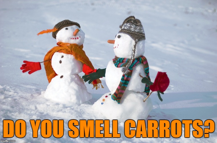 An oldie but a... Nah - just an oldie :) | DO YOU SMELL CARROTS? | image tagged in snowmen,memes,snow,winter,carrots,old jokes | made w/ Imgflip meme maker