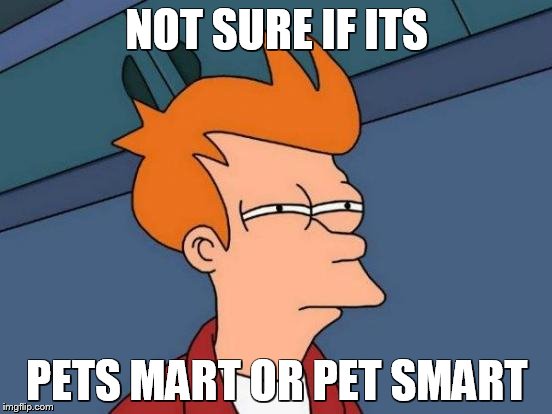 Futurama Fry | NOT SURE IF ITS; PETS MART OR PET SMART | image tagged in memes,futurama fry | made w/ Imgflip meme maker