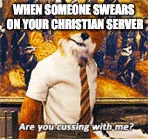 WHEN SOMEONE SWEARS ON YOUR CHRISTIAN SERVER | image tagged in memes,fantastic mr fox,christian server,funny,chirstian | made w/ Imgflip meme maker