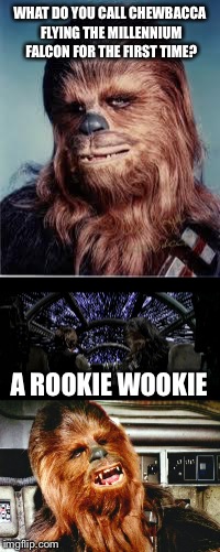 He's the man, I mean wookie. | WHAT DO YOU CALL CHEWBACCA FLYING THE MILLENNIUM FALCON FOR THE FIRST TIME? A ROOKIE WOOKIE | image tagged in bad pun,memes,star trek,chewbacca | made w/ Imgflip meme maker