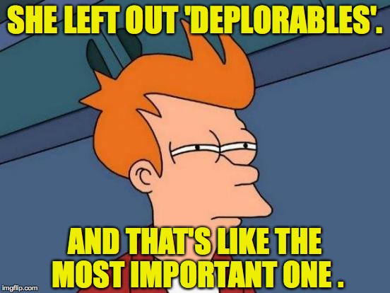 Futurama Fry Meme | SHE LEFT OUT 'DEPLORABLES'. AND THAT'S LIKE THE MOST IMPORTANT ONE . | image tagged in memes,futurama fry | made w/ Imgflip meme maker
