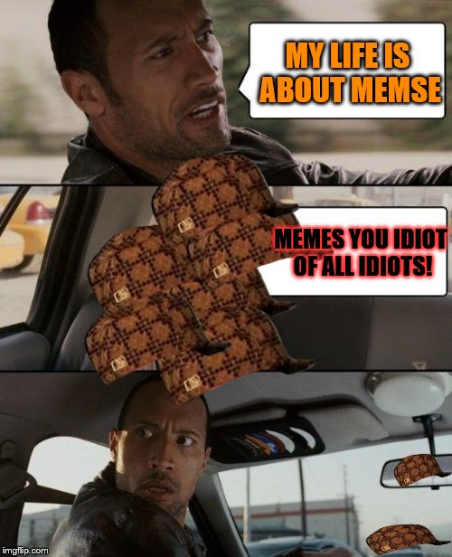 memse mate! not m-e-m-e-s | MY LIFE IS ABOUT MEMSE; MEMES YOU IDIOT OF ALL IDIOTS! | image tagged in memes,the rock driving,scumbag,roasting,so true meme,true story bro | made w/ Imgflip meme maker