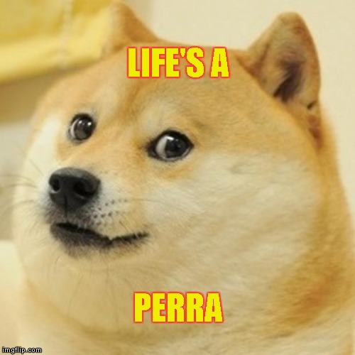 Doge Meme | LIFE'S A PERRA | image tagged in memes,doge | made w/ Imgflip meme maker