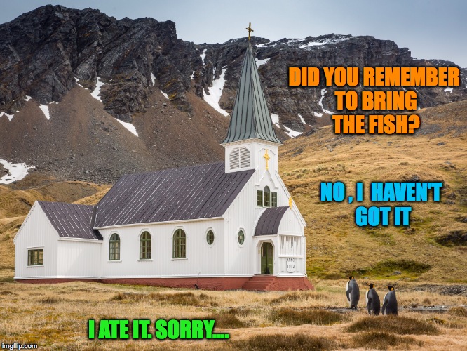 Penguin Congregation | DID YOU REMEMBER TO BRING THE FISH? NO , I  HAVEN'T GOT IT; I ATE IT. SORRY.... | image tagged in missing the fish | made w/ Imgflip meme maker