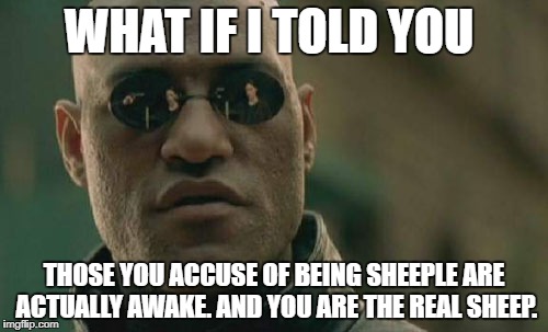 Matrix Morpheus | WHAT IF I TOLD YOU; THOSE YOU ACCUSE OF BEING SHEEPLE ARE ACTUALLY AWAKE. AND YOU ARE THE REAL SHEEP. | image tagged in memes,matrix morpheus | made w/ Imgflip meme maker
