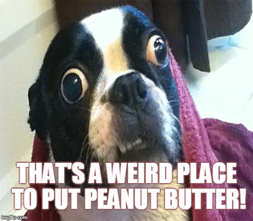 THAT'S A WEIRD PLACE TO PUT PEANUT BUTTER! | made w/ Imgflip meme maker