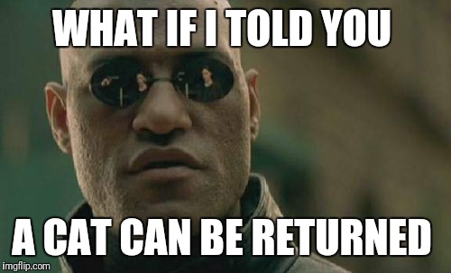 Matrix Morpheus Meme | WHAT IF I TOLD YOU A CAT CAN BE RETURNED | image tagged in memes,matrix morpheus | made w/ Imgflip meme maker