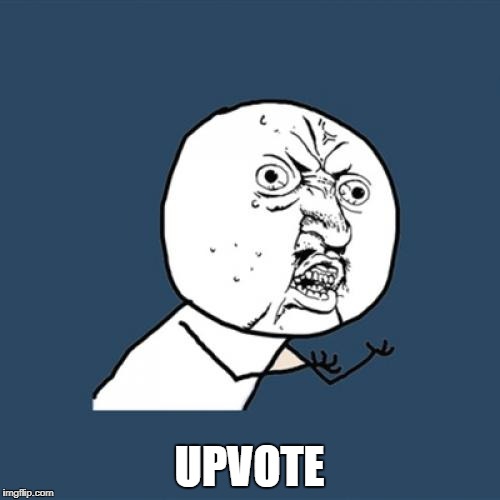 Y U No Meme | UPVOTE | image tagged in memes,y u no | made w/ Imgflip meme maker