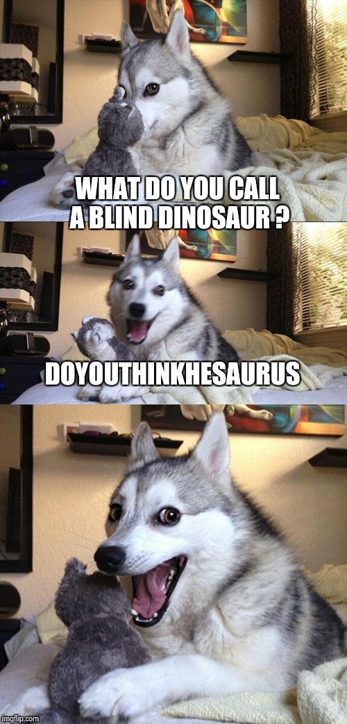 Bad Pun Dog Meme | WHAT DO YOU CALL A BLIND DINOSAUR ? DOYOUTHINKHESAURUS | image tagged in memes,bad pun dog | made w/ Imgflip meme maker