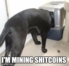 I'M MINING SHITCOINS | image tagged in bitcoin | made w/ Imgflip meme maker