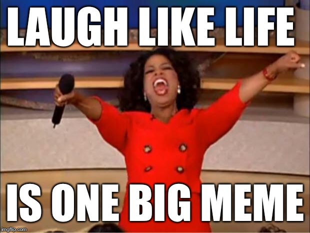 Oprah You Get A Meme | LAUGH LIKE LIFE IS ONE BIG MEME | image tagged in memes,oprah you get a | made w/ Imgflip meme maker