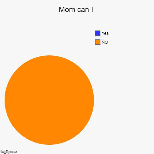Mom can I | image tagged in funny,pie charts,mom | made w/ Imgflip chart maker