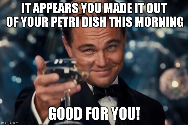 Leonardo Dicaprio Cheers Meme | IT APPEARS YOU MADE IT OUT OF YOUR PETRI DISH THIS MORNING GOOD FOR YOU! | image tagged in memes,leonardo dicaprio cheers | made w/ Imgflip meme maker