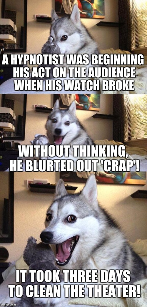 Bad Pun Dog | A HYPNOTIST WAS BEGINNING HIS ACT ON THE AUDIENCE WHEN HIS WATCH BROKE; WITHOUT THINKING, HE BLURTED OUT 'CRAP'! IT TOOK THREE DAYS TO CLEAN THE THEATER! | image tagged in memes,bad pun dog | made w/ Imgflip meme maker