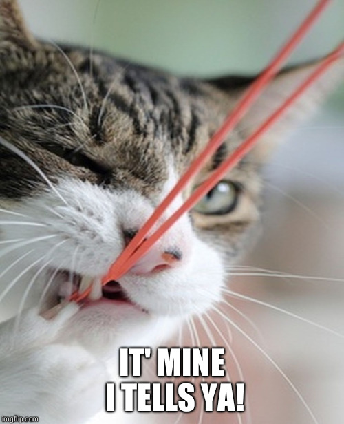 Tug 'O War | IT' MINE I TELLS YA! | image tagged in cats,yarn | made w/ Imgflip meme maker