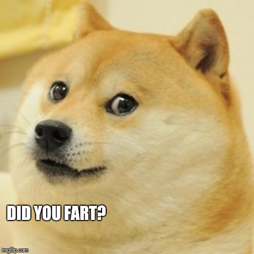 Doge |  DID YOU FART? | image tagged in memes,doge | made w/ Imgflip meme maker