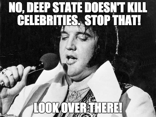 Elvis | NO, DEEP STATE DOESN'T KILL CELEBRITIES.  STOP THAT! LOOK OVER THERE! | image tagged in elvis | made w/ Imgflip meme maker