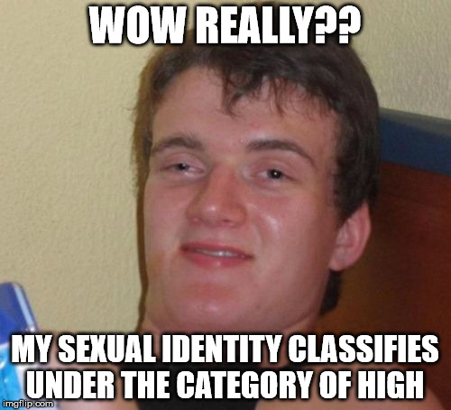 10 Guy Meme | WOW REALLY?? MY SEXUAL IDENTITY CLASSIFIES UNDER THE CATEGORY OF HIGH | image tagged in memes,10 guy | made w/ Imgflip meme maker