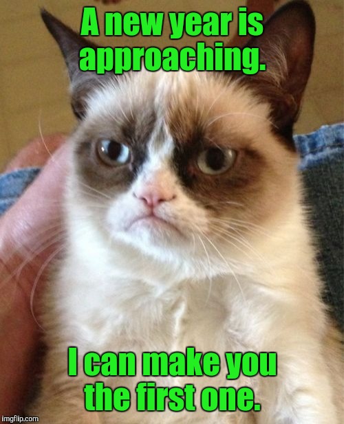 Grumpy Cat Meme | A new year is approaching. I can make you the first one. | image tagged in memes,grumpy cat | made w/ Imgflip meme maker