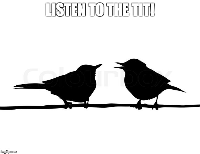 LISTEN TO THE TIT! | made w/ Imgflip meme maker