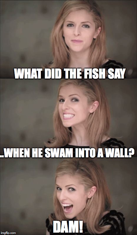 Bad Pun Anna Kendrick Meme | WHAT DID THE FISH SAY; ...WHEN HE SWAM INTO A WALL? DAM! | image tagged in memes,bad pun anna kendrick | made w/ Imgflip meme maker