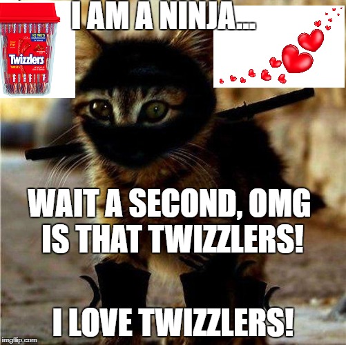 I AM A NINJA... WAIT A SECOND, OMG IS THAT TWIZZLERS! I LOVE TWIZZLERS! | image tagged in secret cat ninja on duty | made w/ Imgflip meme maker