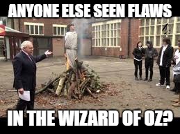 ANYONE ELSE SEEN FLAWS IN THE WIZARD OF OZ? | made w/ Imgflip meme maker