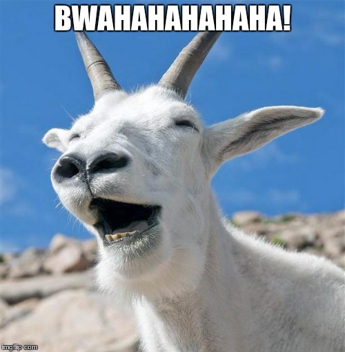 Laughing Goat Meme | BWAHAHAHAHAHA! | image tagged in memes,laughing goat | made w/ Imgflip meme maker